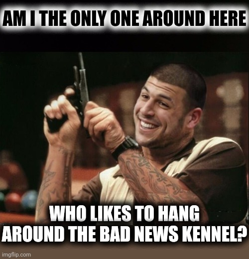 Am I The Only One Around Here Aaron Hernandez | AM I THE ONLY ONE AROUND HERE WHO LIKES TO HANG AROUND THE BAD NEWS KENNEL? | image tagged in am i the only one around here aaron hernandez | made w/ Imgflip meme maker