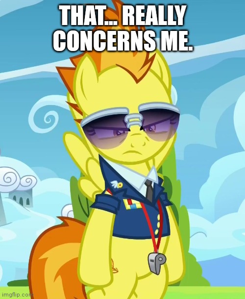 Concerned Spitfire (MLP) | THAT... REALLY CONCERNS ME. | image tagged in concerned spitfire mlp | made w/ Imgflip meme maker