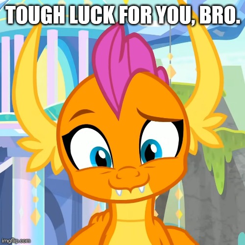 TOUGH LUCK FOR YOU, BRO. | made w/ Imgflip meme maker