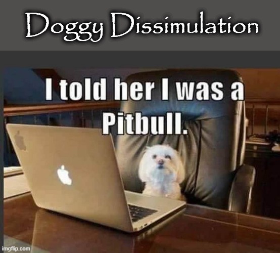 Dissimulation | Doggy Dissimulation | image tagged in pitbull | made w/ Imgflip meme maker