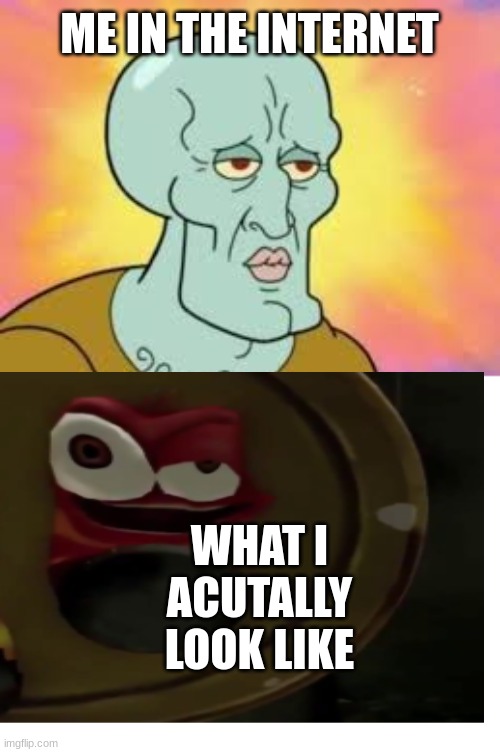 Handsome Squidward | ME IN THE INTERNET; WHAT I ACUTALLY LOOK LIKE | image tagged in handsome squidward | made w/ Imgflip meme maker