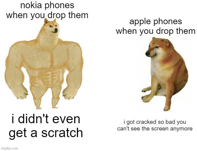 free germander | nokia phones when you drop them; apple phones when you drop them; i didn't even get a scratch; i got cracked so bad you can't see the screen anymore | image tagged in memes,buff doge vs cheems | made w/ Imgflip meme maker