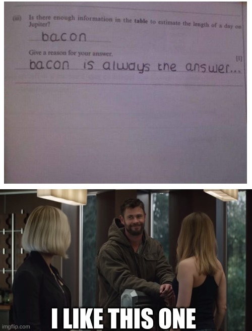 bacon | I LIKE THIS ONE | image tagged in blank white template,thor i like this one | made w/ Imgflip meme maker