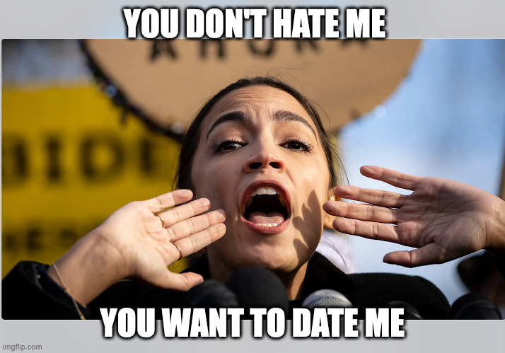 America's Most Eligible DIngbat | YOU DON'T HATE ME; YOU WANT TO DATE ME | image tagged in alexandria occasional-cortex | made w/ Imgflip meme maker