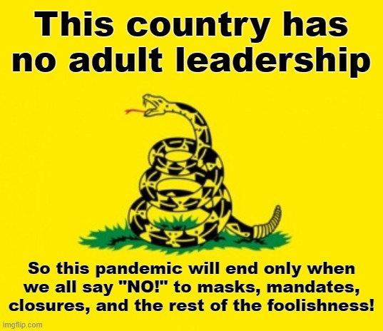 Gadsden Flag | This country has no adult leadership; So this pandemic will end only when we all say "NO!" to masks, mandates, closures, and the rest of the foolishness! | image tagged in gadsden flag,covid-19,pandemic,democrats,no adult leadership,just say no | made w/ Imgflip meme maker