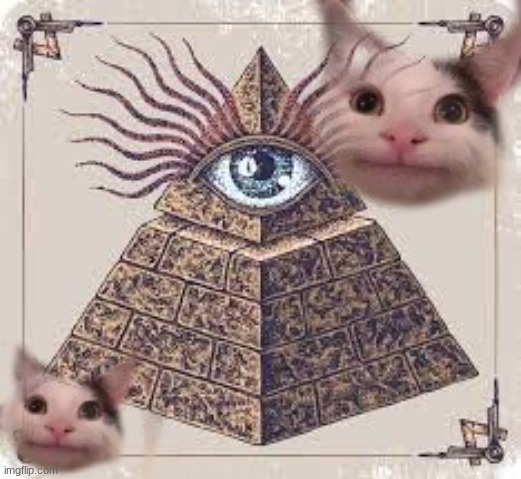 pls upvote | image tagged in cat,pop cat | made w/ Imgflip meme maker
