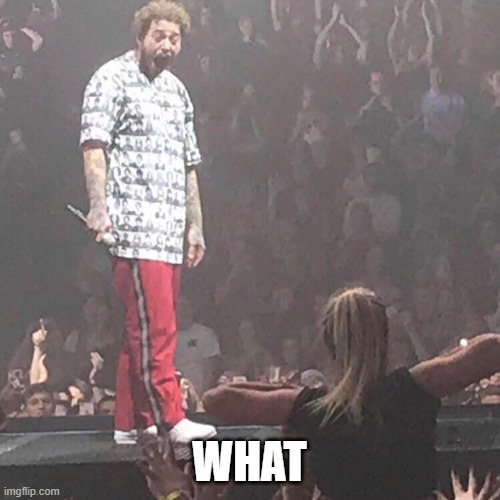 Post Malone happy | WHAT | image tagged in post malone happy | made w/ Imgflip meme maker
