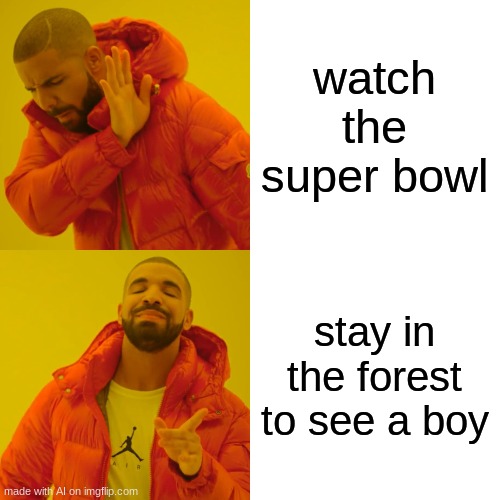 What tf is wrong with the meme generator | watch the super bowl; stay in the forest to see a boy | image tagged in memes,drake hotline bling | made w/ Imgflip meme maker
