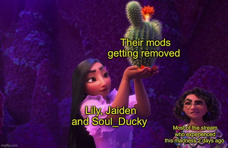 Ok so- | Their mods getting removed; Lily, Jaiden and Soul_Ducky; Most of the stream who experienced this madness 2 days ago | image tagged in mirabel and isabella | made w/ Imgflip meme maker