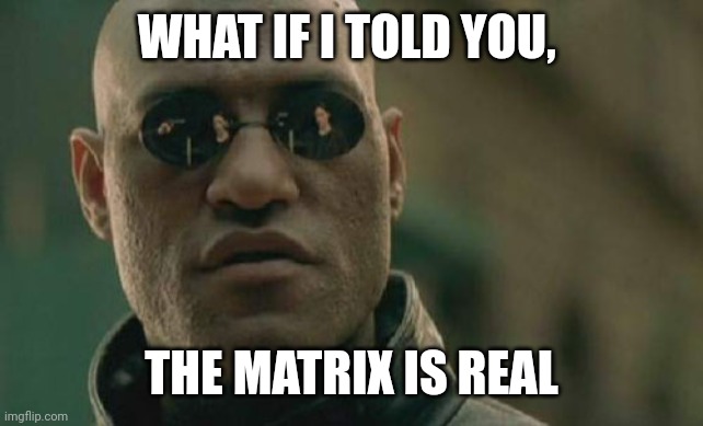 We need a Neo | WHAT IF I TOLD YOU, THE MATRIX IS REAL | image tagged in memes,matrix morpheus | made w/ Imgflip meme maker