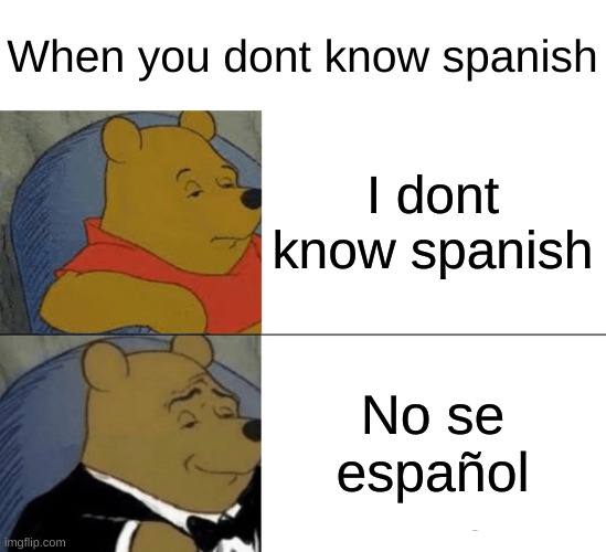 Tuxedo Winnie The Pooh |  When you dont know spanish; I dont know spanish; No se español | image tagged in memes,tuxedo winnie the pooh | made w/ Imgflip meme maker