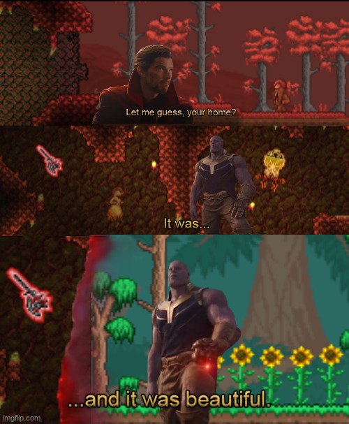 image tagged in memes,blank transparent square,home,terraria,why do i hear boss music,thanos | made w/ Imgflip meme maker