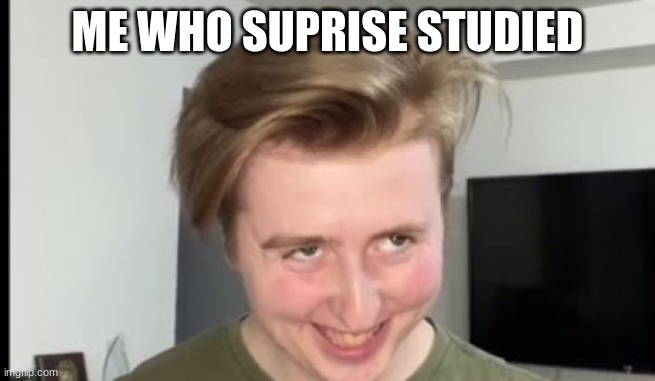 THE FACE | ME WHO SUPRISE STUDIED | image tagged in the face | made w/ Imgflip meme maker