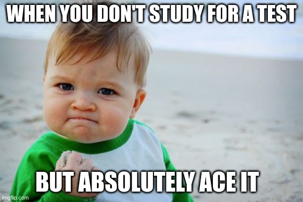 Success Kid Original | WHEN YOU DON'T STUDY FOR A TEST; BUT ABSOLUTELY ACE IT | image tagged in memes,success kid original | made w/ Imgflip meme maker