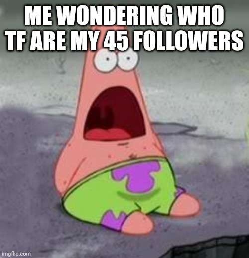 Idk man | ME WONDERING WHO TF ARE MY 45 FOLLOWERS | image tagged in suprised patrick | made w/ Imgflip meme maker