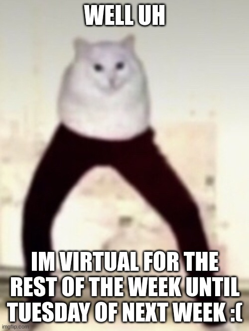 WELL UH; IM VIRTUAL FOR THE REST OF THE WEEK UNTIL TUESDAY OF NEXT WEEK :( | made w/ Imgflip meme maker