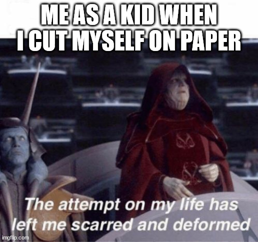 Palpatine Scarred and Deformed Top Bar | ME AS A KID WHEN I CUT MYSELF ON PAPER | image tagged in palpatine scarred and deformed top bar | made w/ Imgflip meme maker