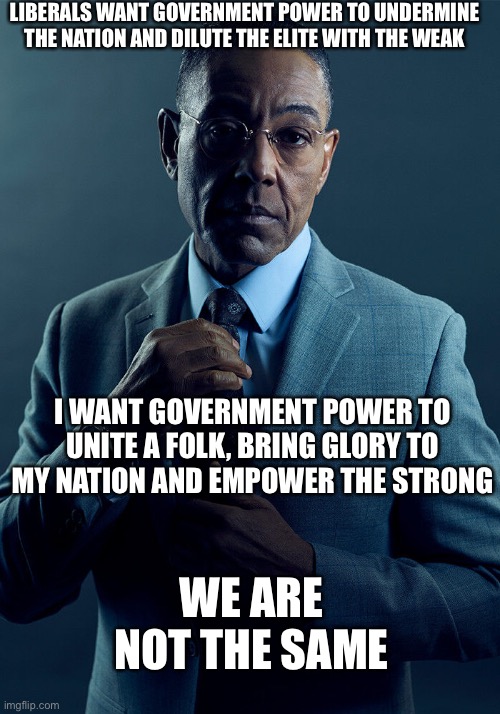 True Fashy Chad vs Virgin liberal antifashy | LIBERALS WANT GOVERNMENT POWER TO UNDERMINE THE NATION AND DILUTE THE ELITE WITH THE WEAK; I WANT GOVERNMENT POWER TO UNITE A FOLK, BRING GLORY TO MY NATION AND EMPOWER THE STRONG; WE ARE NOT THE SAME | image tagged in gus fring we are not the same | made w/ Imgflip meme maker