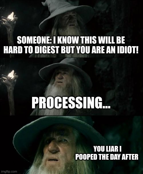 some people use the phrase "hard to digest" when you don't  want to hear something or you know someone is going to ask you to do | SOMEONE: I KNOW THIS WILL BE HARD TO DIGEST BUT YOU ARE AN IDIOT! PROCESSING... YOU LIAR I POOPED THE DAY AFTER | image tagged in memes,confused gandalf | made w/ Imgflip meme maker