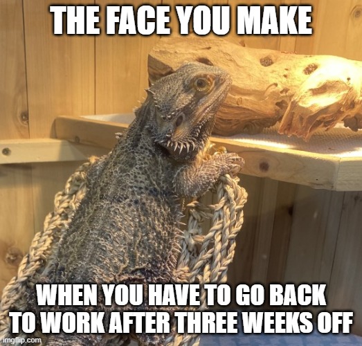 Back to Work |  THE FACE YOU MAKE; WHEN YOU HAVE TO GO BACK TO WORK AFTER THREE WEEKS OFF | image tagged in work,tired,shocked face | made w/ Imgflip meme maker