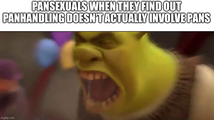 Pan puns are so much fun | PANSEXUALS WHEN THEY FIND OUT PANHANDLING DOESN’T ACTUALLY INVOLVE PANS | image tagged in shrek screaming | made w/ Imgflip meme maker