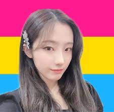 Pansexual heejin???️‍? Blank Meme Template