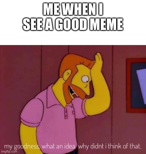 my goodness what an idea why didn't I think of that | ME WHEN I SEE A GOOD MEME | image tagged in my goodness what an idea why didn't i think of that | made w/ Imgflip meme maker
