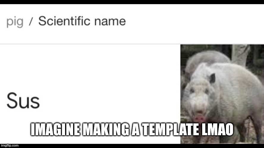 Scientific name for pig | IMAGINE MAKING A TEMPLATE LMAO | image tagged in scientific name for pig | made w/ Imgflip meme maker