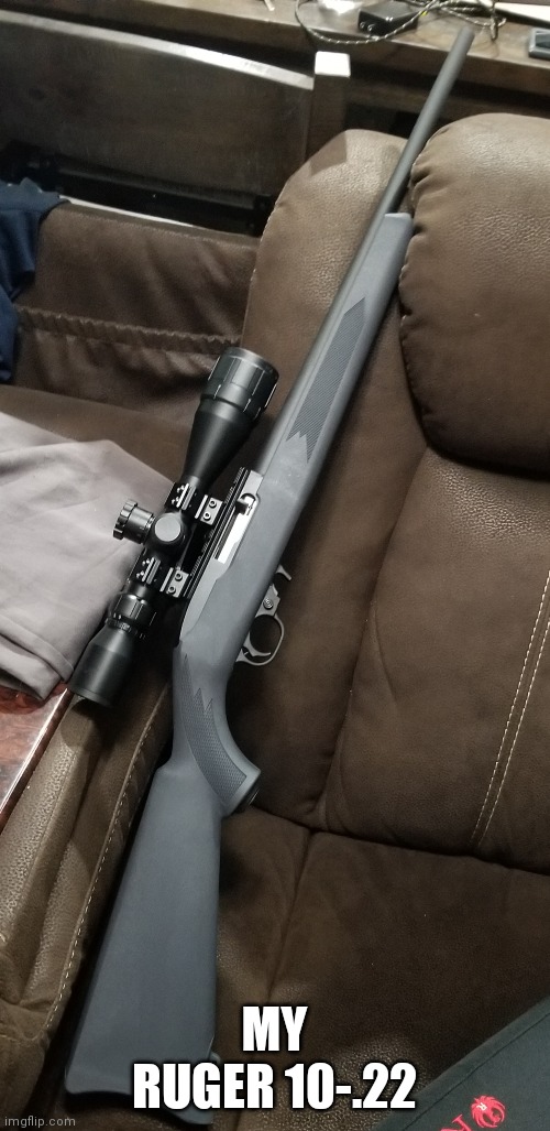 This is my baby rifle | MY RUGER 10-.22 | made w/ Imgflip meme maker