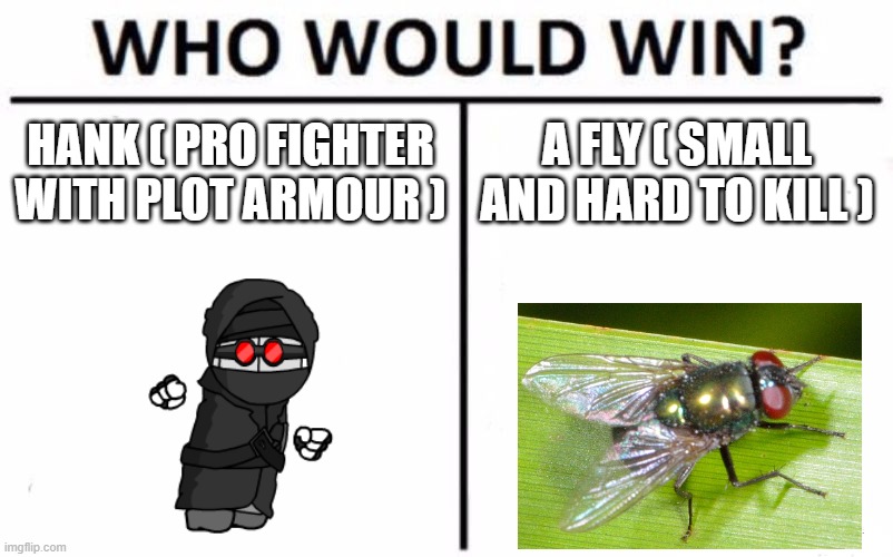 Hank VS fly lol | HANK ( PRO FIGHTER WITH PLOT ARMOUR ); A FLY ( SMALL AND HARD TO KILL ) | image tagged in memes,who would win,madness combat,epic battle | made w/ Imgflip meme maker