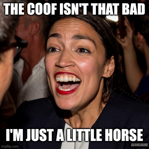 She literally almost died again thanks to Ron DeSantis | THE COOF ISN'T THAT BAD; I'M JUST A LITTLE HORSE; ACOOLNAME | image tagged in ocasio cortez,a little horse,literally | made w/ Imgflip meme maker
