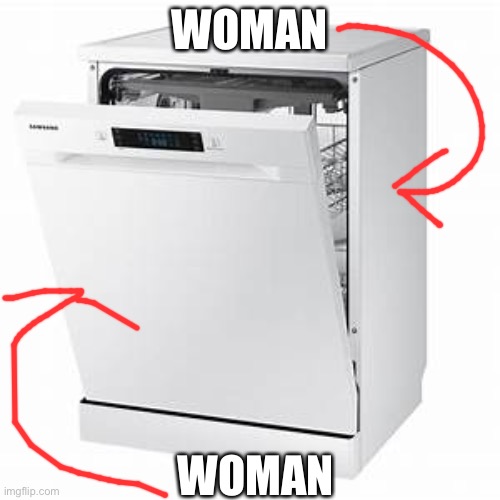 Dishwasher woman | WOMAN; WOMAN | image tagged in dishwasher | made w/ Imgflip meme maker