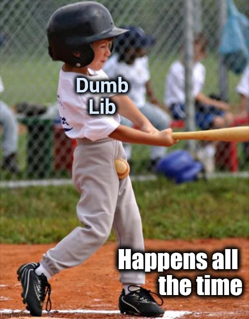 baseball | Dumb        
Lib Happens all 
the time | image tagged in baseball | made w/ Imgflip meme maker