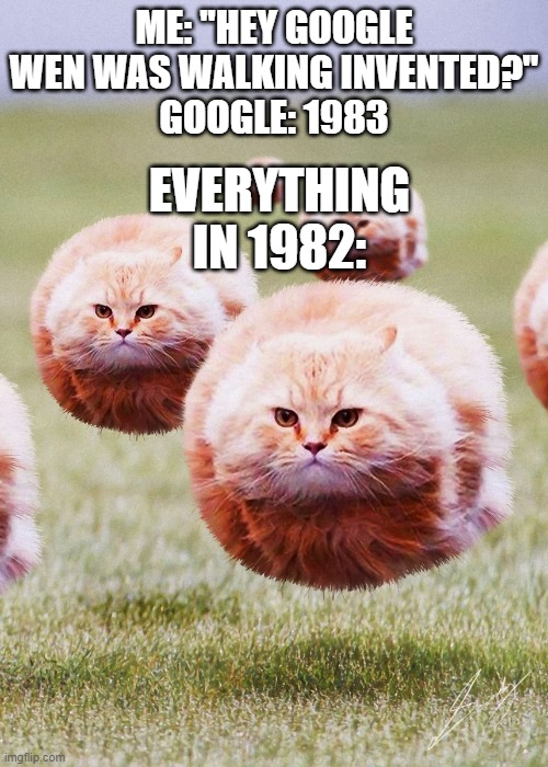 Walking is so overrated |  ME: ''HEY GOOGLE WEN WAS WALKING INVENTED?''
GOOGLE: 1983; EVERYTHING IN 1982: | image tagged in funny,memes,lol | made w/ Imgflip meme maker