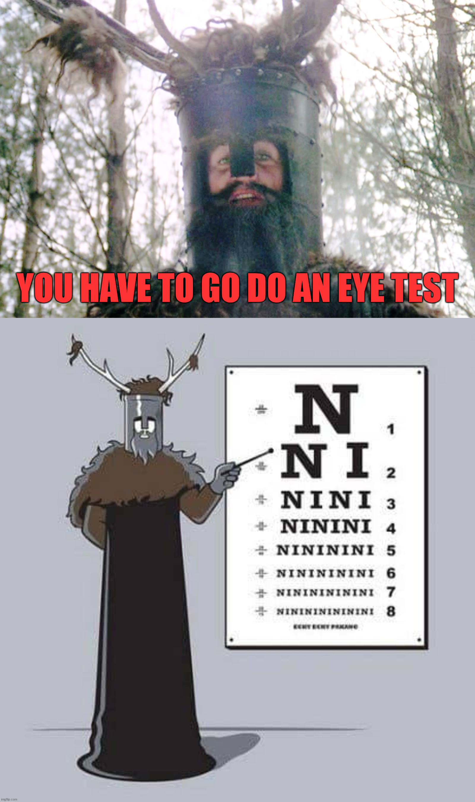  YOU HAVE TO GO DO AN EYE TEST | image tagged in knights who say ni | made w/ Imgflip meme maker