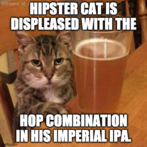 hipster kitty loves his ipa beers except this one | HIPSTER CAT IS DISPLEASED WITH THE; HOP COMBINATION IN HIS IMPERIAL IPA. | image tagged in angry drunk cat | made w/ Imgflip meme maker