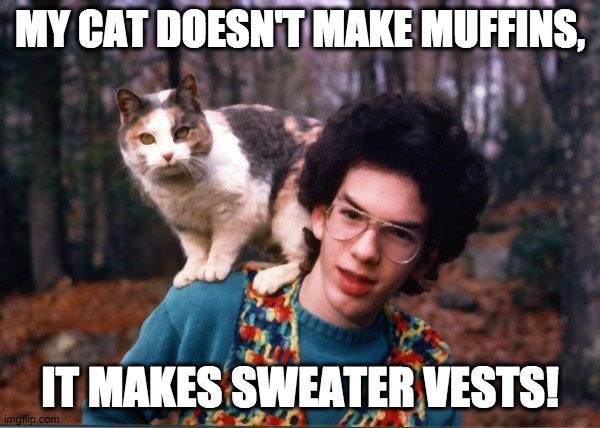 sweater kitty knits away | MY CAT DOESN'T MAKE MUFFINS, IT MAKES SWEATER VESTS! | image tagged in sweater boy and cat | made w/ Imgflip meme maker