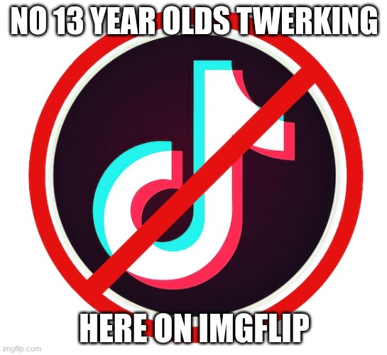 we all hate it | NO 13 YEAR OLDS TWERKING; HERE ON IMGFLIP | image tagged in no cringe | made w/ Imgflip meme maker