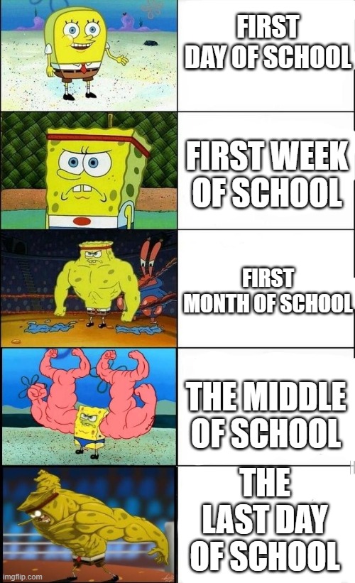 what is feels like to be in school | FIRST DAY OF SCHOOL; FIRST WEEK OF SCHOOL; FIRST MONTH OF SCHOOL; THE MIDDLE OF SCHOOL; THE LAST DAY OF SCHOOL | image tagged in school | made w/ Imgflip meme maker