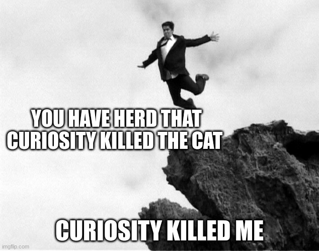 Man Jumping Off a Cliff | YOU HAVE HERD THAT CURIOSITY KILLED THE CAT; CURIOSITY KILLED ME | image tagged in man jumping off a cliff | made w/ Imgflip meme maker
