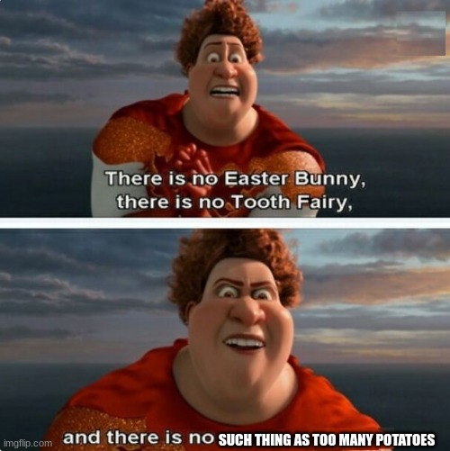 TIGHTEN MEGAMIND "THERE IS NO EASTER BUNNY" | SUCH THING AS TOO MANY POTATOES | image tagged in tighten megamind there is no easter bunny | made w/ Imgflip meme maker