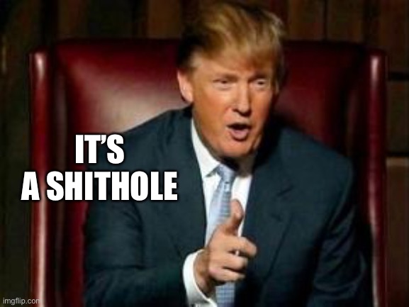 Donald Trump | IT’S A SHITHOLE | image tagged in donald trump | made w/ Imgflip meme maker