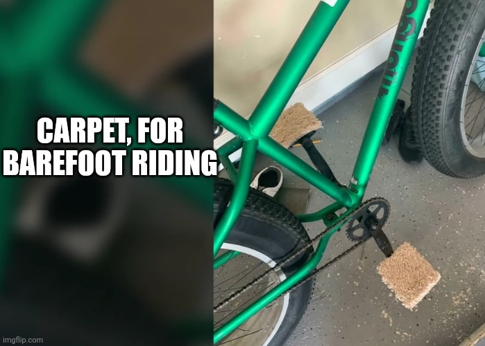 CARPET, FOR BAREFOOT RIDING | image tagged in funny memes | made w/ Imgflip meme maker