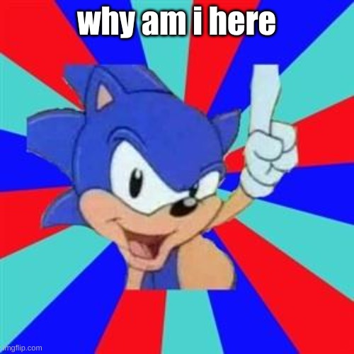 why am i here | image tagged in sonic sez | made w/ Imgflip meme maker