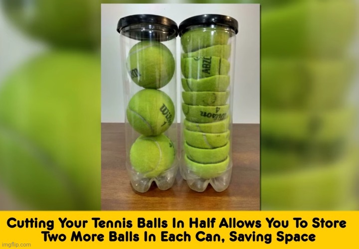 image tagged in funny memes | made w/ Imgflip meme maker