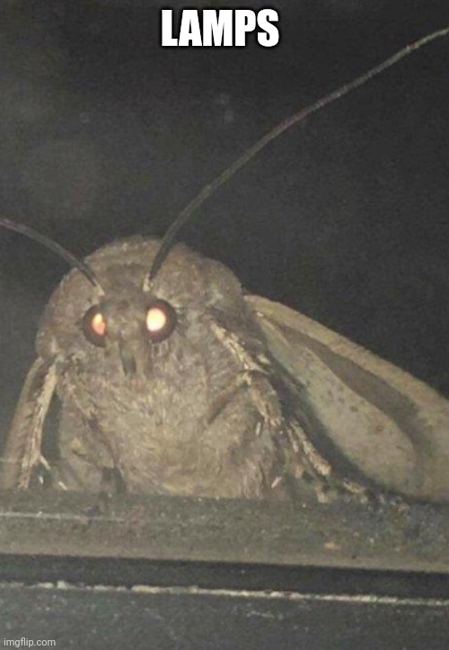 Moth | LAMPS | image tagged in moth | made w/ Imgflip meme maker