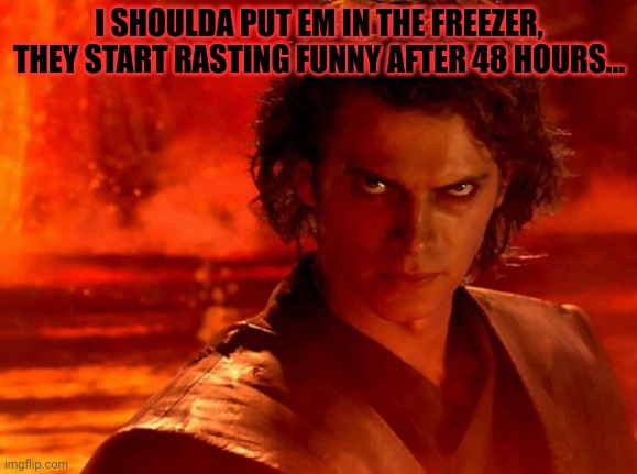 You Underestimate My Power Meme | I SHOULDA PUT EM IN THE FREEZER, THEY START RASTING FUNNY AFTER 48 HOURS... | image tagged in memes,you underestimate my power | made w/ Imgflip meme maker