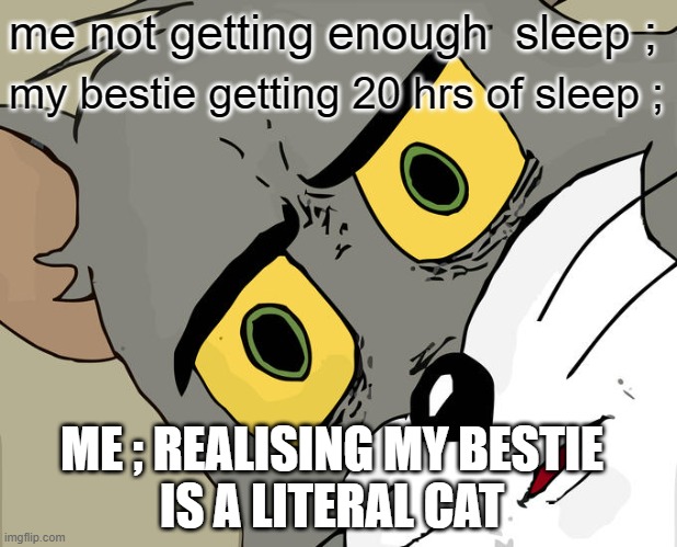 ahahhshdjshjdsh- | me not getting enough  sleep ;; my bestie getting 20 hrs of sleep ;; ME ; REALISING MY BESTIE
IS A LITERAL CAT | image tagged in memes,unsettled tom | made w/ Imgflip meme maker