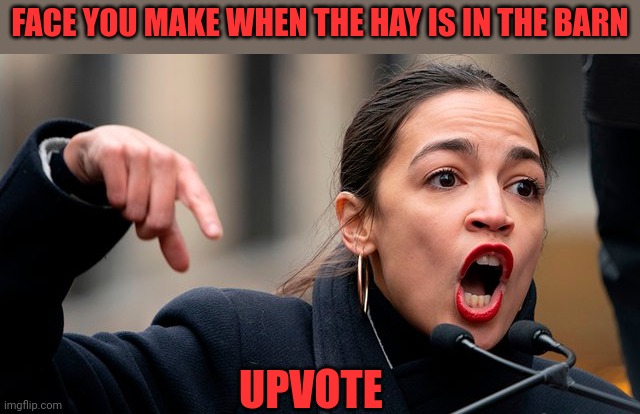 FACE YOU MAKE WHEN THE HAY IS IN THE BARN UPVOTE | made w/ Imgflip meme maker