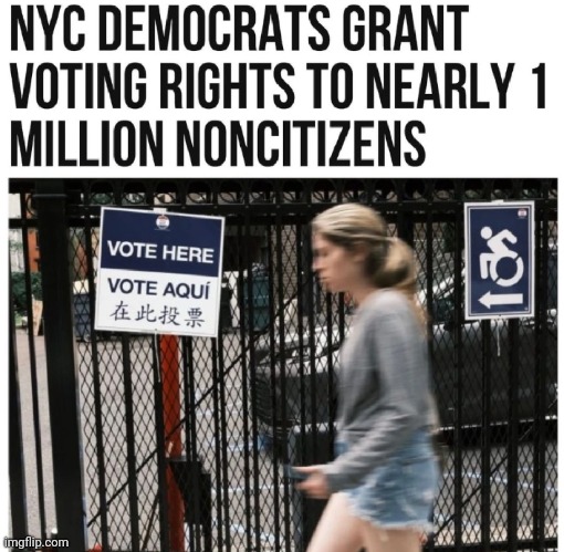 image tagged in voter fraud,non citizen votes,nyc voter fraud | made w/ Imgflip meme maker